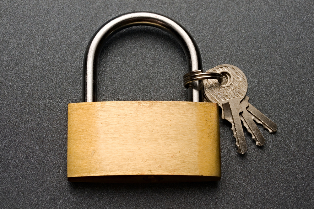 lock option for a storage unit - padlock